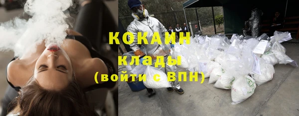 твердый Новодвинск