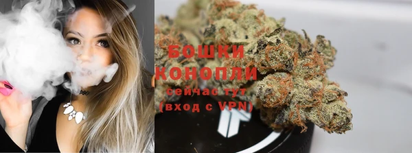 твердый Новодвинск