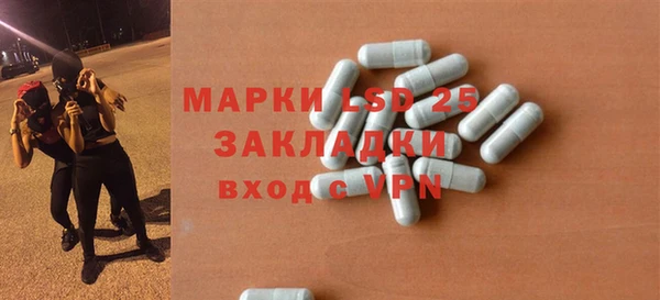твердый Новодвинск