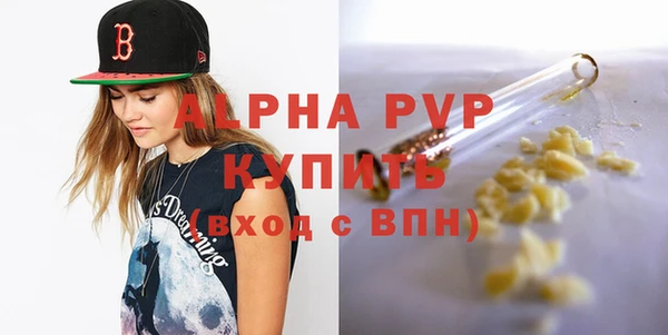 дживик Новозыбков