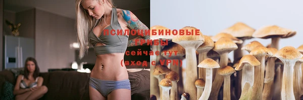 mdpv Новокубанск