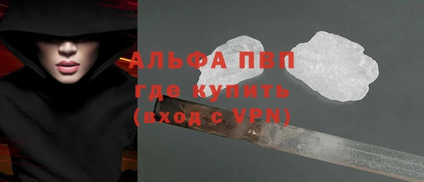 твердый Новодвинск