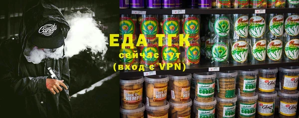 твердый Новодвинск
