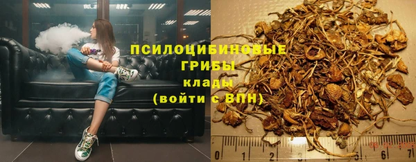 твердый Новодвинск