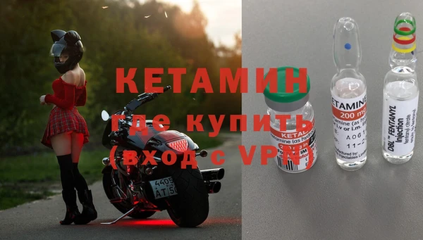 твердый Новодвинск