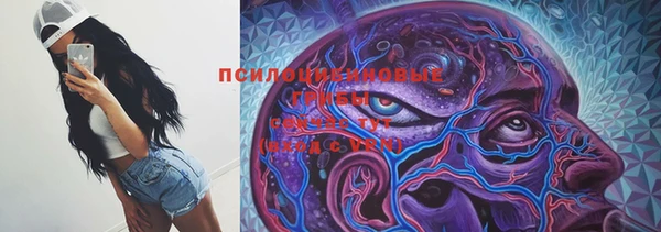 mdpv Новокубанск