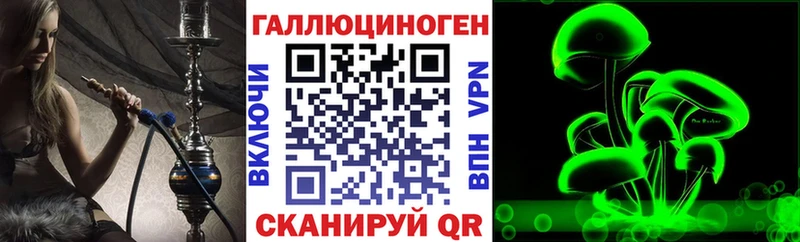 как найти   Ахтубинск  Псилоцибиновые грибы Psilocybine cubensis 