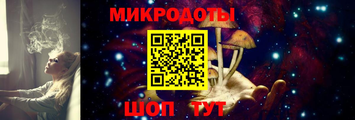 Псилоцибиновые грибы Psilocybe  Галлюциногенные грибы MAGIC MUSHROOMS  Ахтубинск 