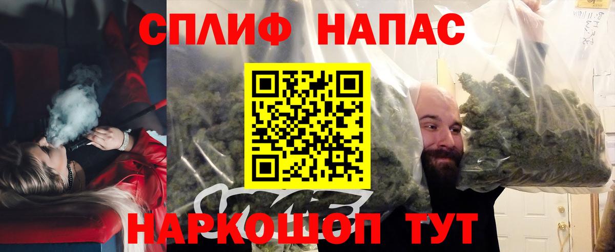 Канабис планчик  Каннабис сатива  Конопля Bruce Banner  Ахтубинск 